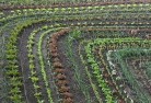 Bundaberg Westorganic-gardening-10.jpg; ?>