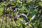 Bundaberg Westorganic-gardening-3.jpg; ?>