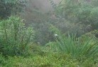 Bundaberg Westorganic-gardening-8.jpg; ?>